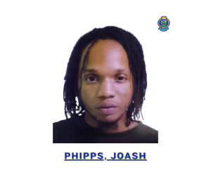 suspect